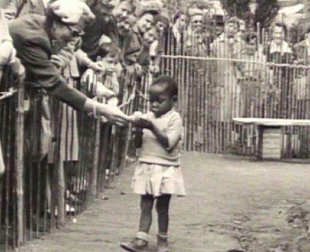 insan-hayvanat-bahcesi