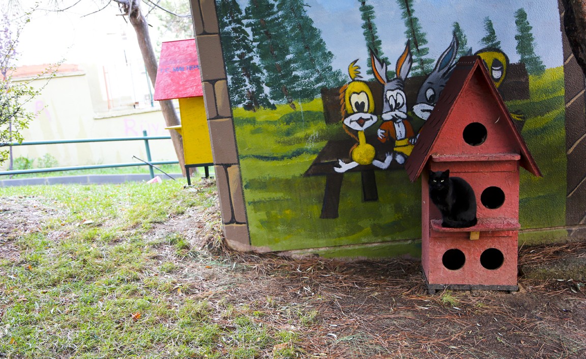 mtepe-kedikopek-kulubeleri-1