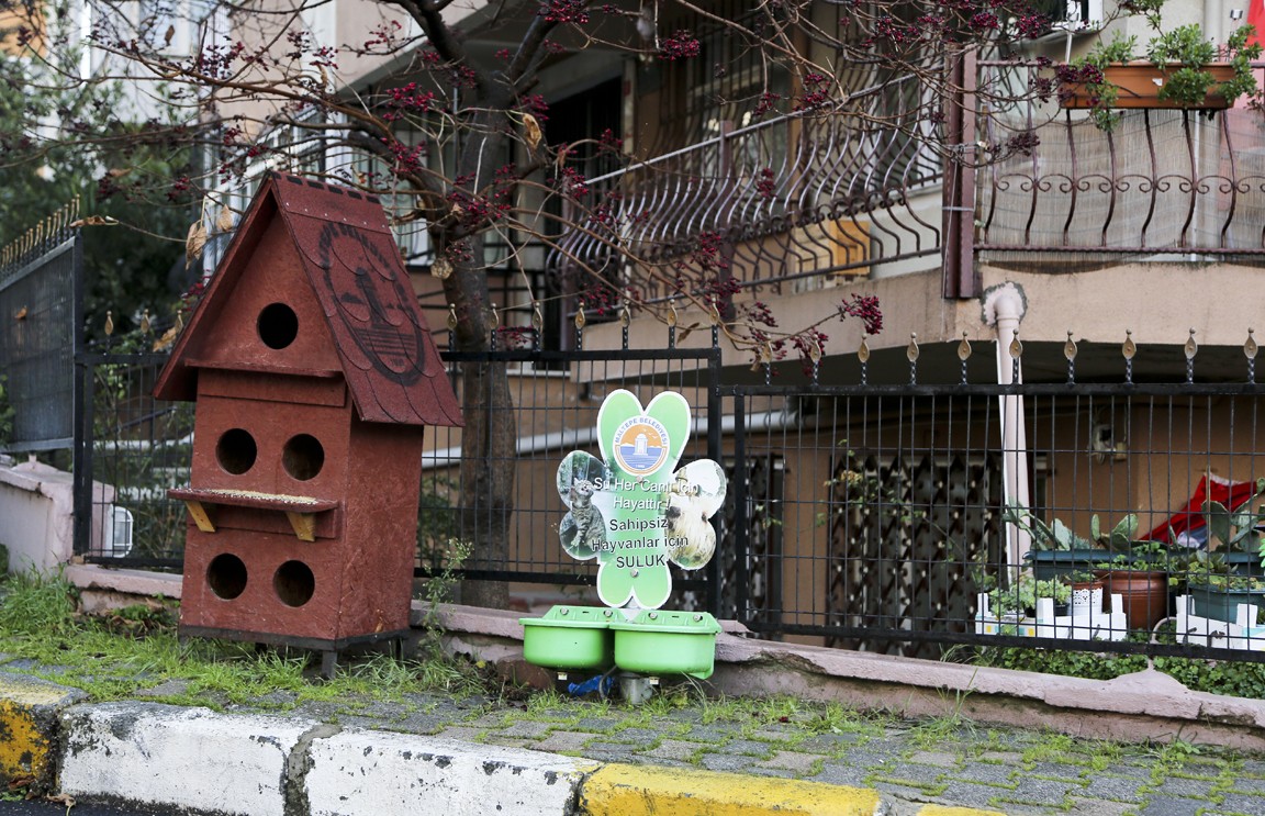 mtepe-kedikopek-kulubeleri-2