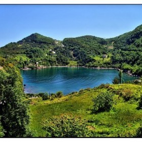 1748508-gideros-koyu