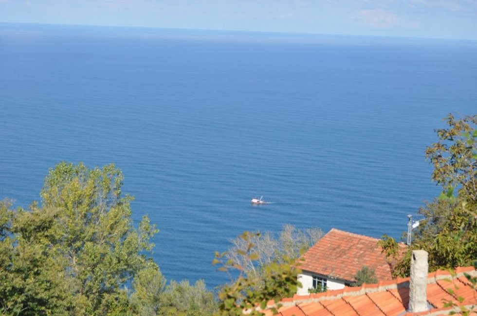 5418c769e5970edaa9c2_16