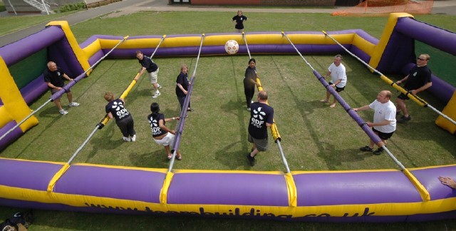 thumbnail_insan langırtı