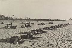 General Allenby, Osmanlı Ordusu’nu Filistin’de Nasıl Yok Etti ?