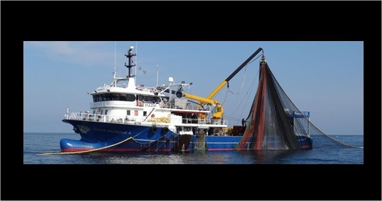 Trol ve gırgır karadenizi kuruttu