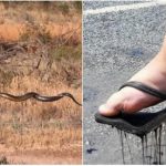 Yüksek Sıcaklıkların Yakıcı Gücünü Gösteren 10 Enteresan Fotoğraf