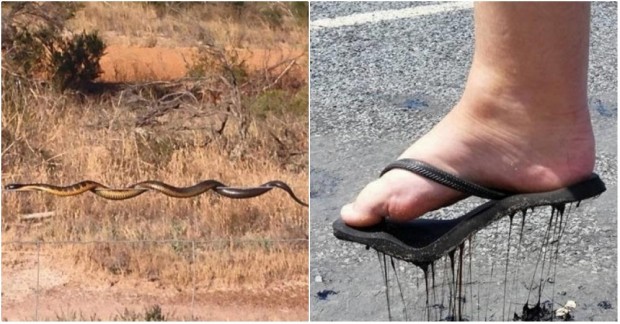 Yüksek Sıcaklıkların Yakıcı Gücünü Gösteren  Fotoğraf