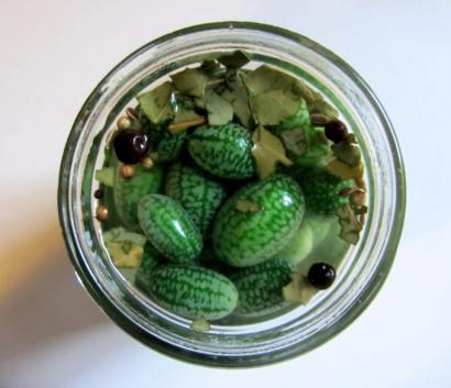 Kelek Turşusu Tarifi