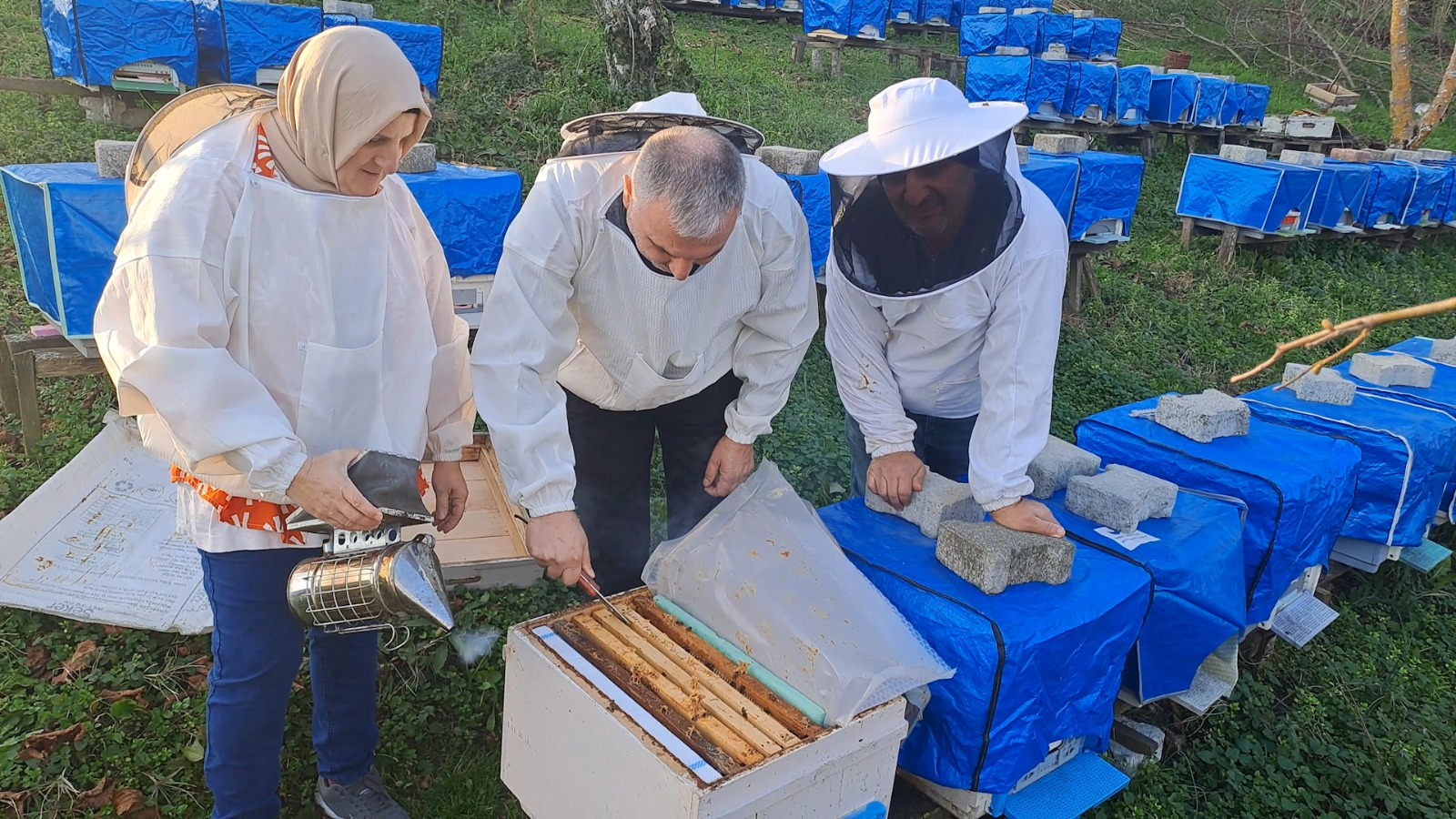 Bal Üreticileri Taklit ve Tağşiş Ürünlere Karşı vatandaşı Uyarıyor