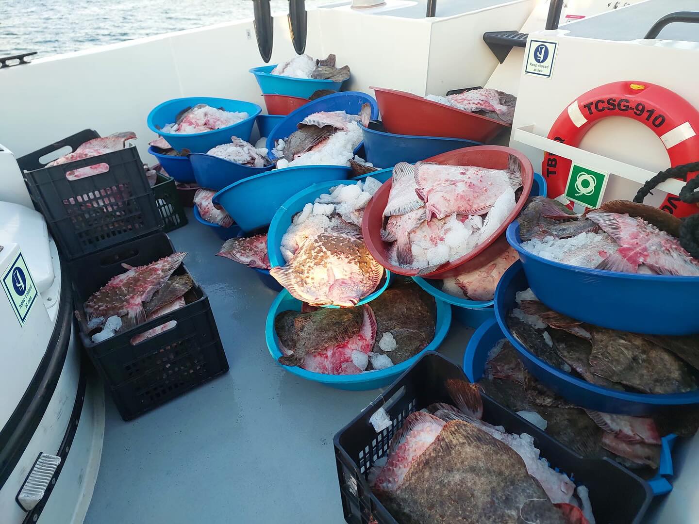 Şile’nin 30 Mil Açıklarında Kaçak Kalkan Balığı Avcılığı Operasyonu…