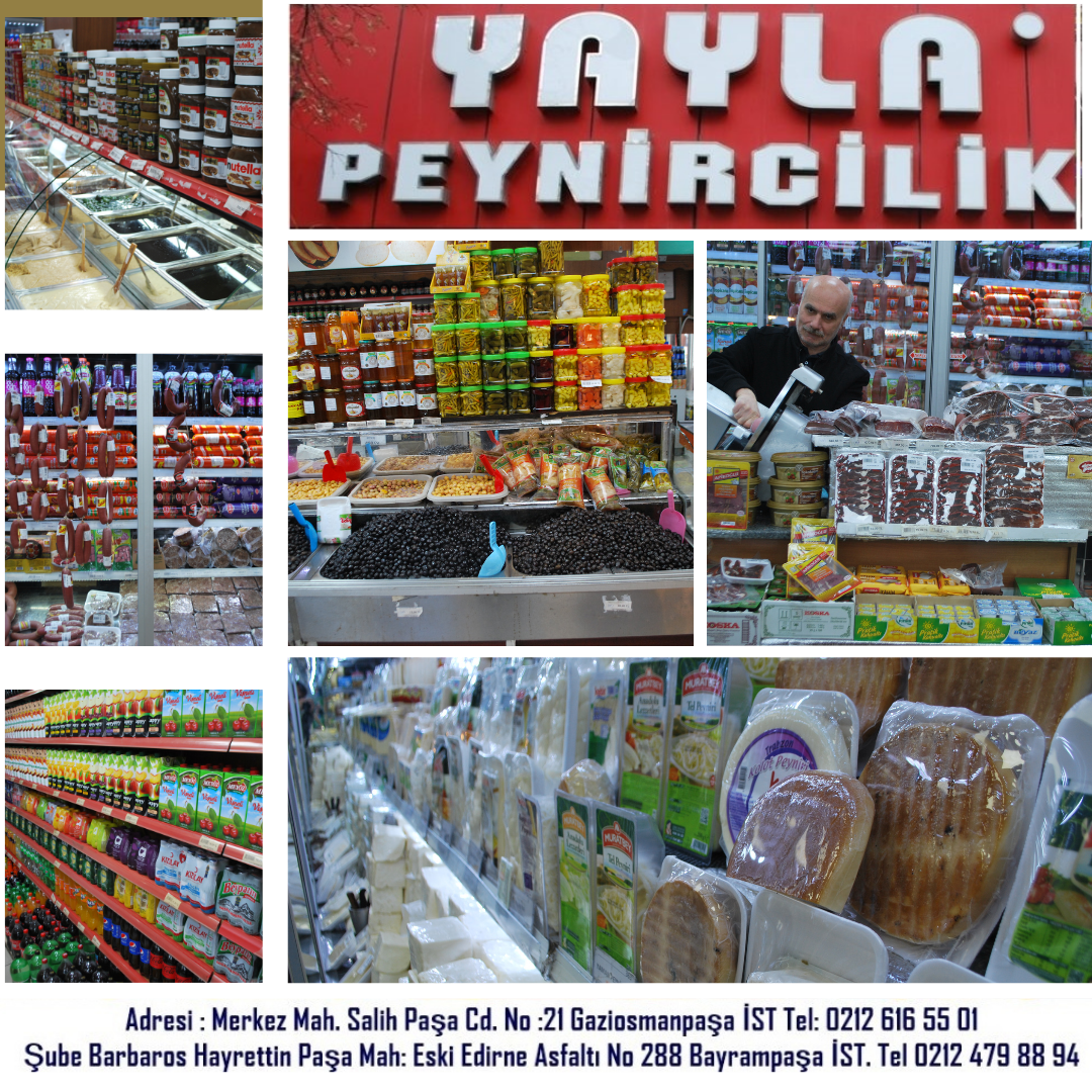 YAYLA PEYNİRCİLİK GAZİOSMANPAŞA