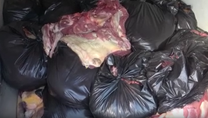 Adana'da 1.5 ton at ve eşek eti yakalandı