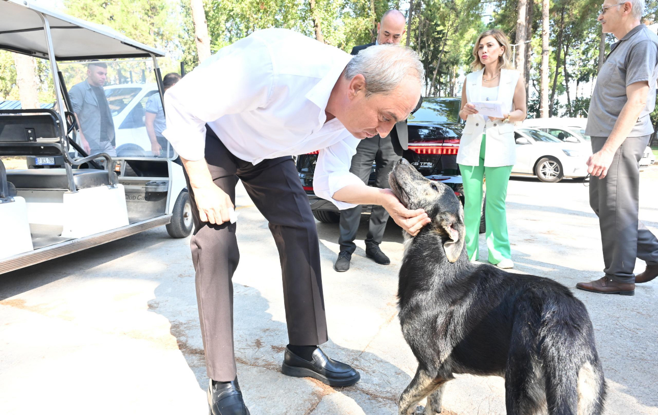 Köpek yakıldı iddialarına Kepez Belediyesi yanıt verdi!