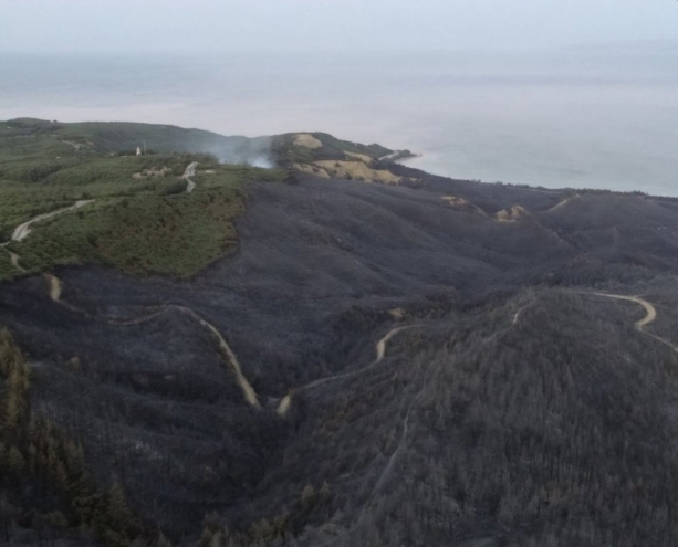 Orman yangınlarının 69'u kontrol altına alındı, 6 bölgede çalışma sürüyor