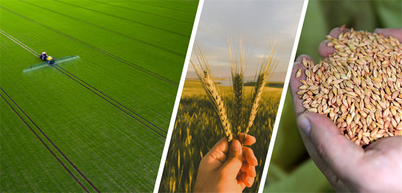 98,6 milyon TL destek ödemesi çiftçilerin hesaplarına aktarılıyor