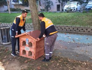 Patili dostlarımız sıcak yuvalarına kavuştu