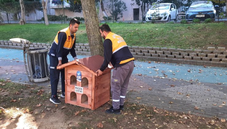 Patili dostlarımız sıcak yuvalarına kavuştu