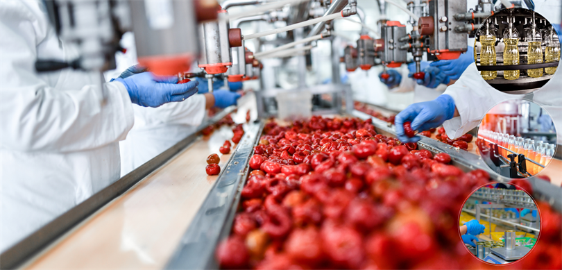 IPARD III kapsamında, 38 projeye, 397 milyon lira hibe desteği verilecek