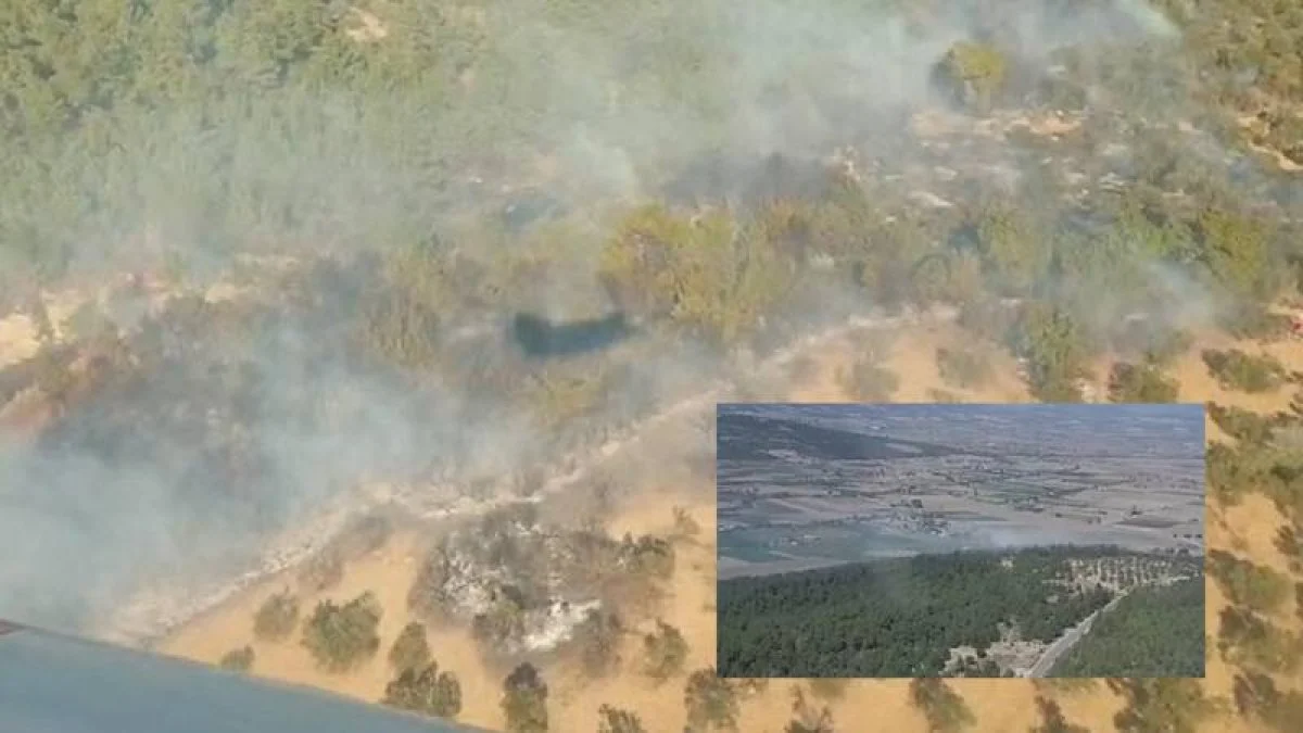 İzmir'de yangın çıktı!