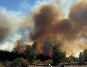 Bursa’da iki ilçede orman yangını