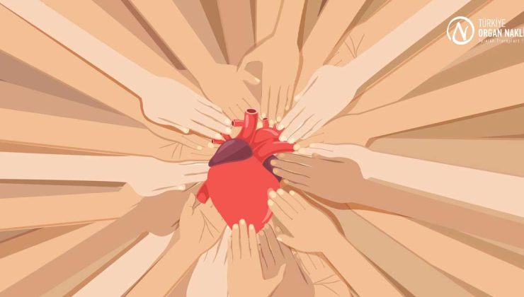 Türkiye Organ Nakli Vakfından anlamlı çağrı: "Hayat devam etsin"
