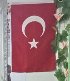 Cumhurbaşkanı Erdoğan’ın bayrak çağrısına Arnavutköy Boğazköy’den yanıt