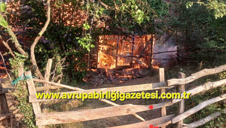 Cide Güren Başköy’de yangın!!! iki kardeş yaralandı