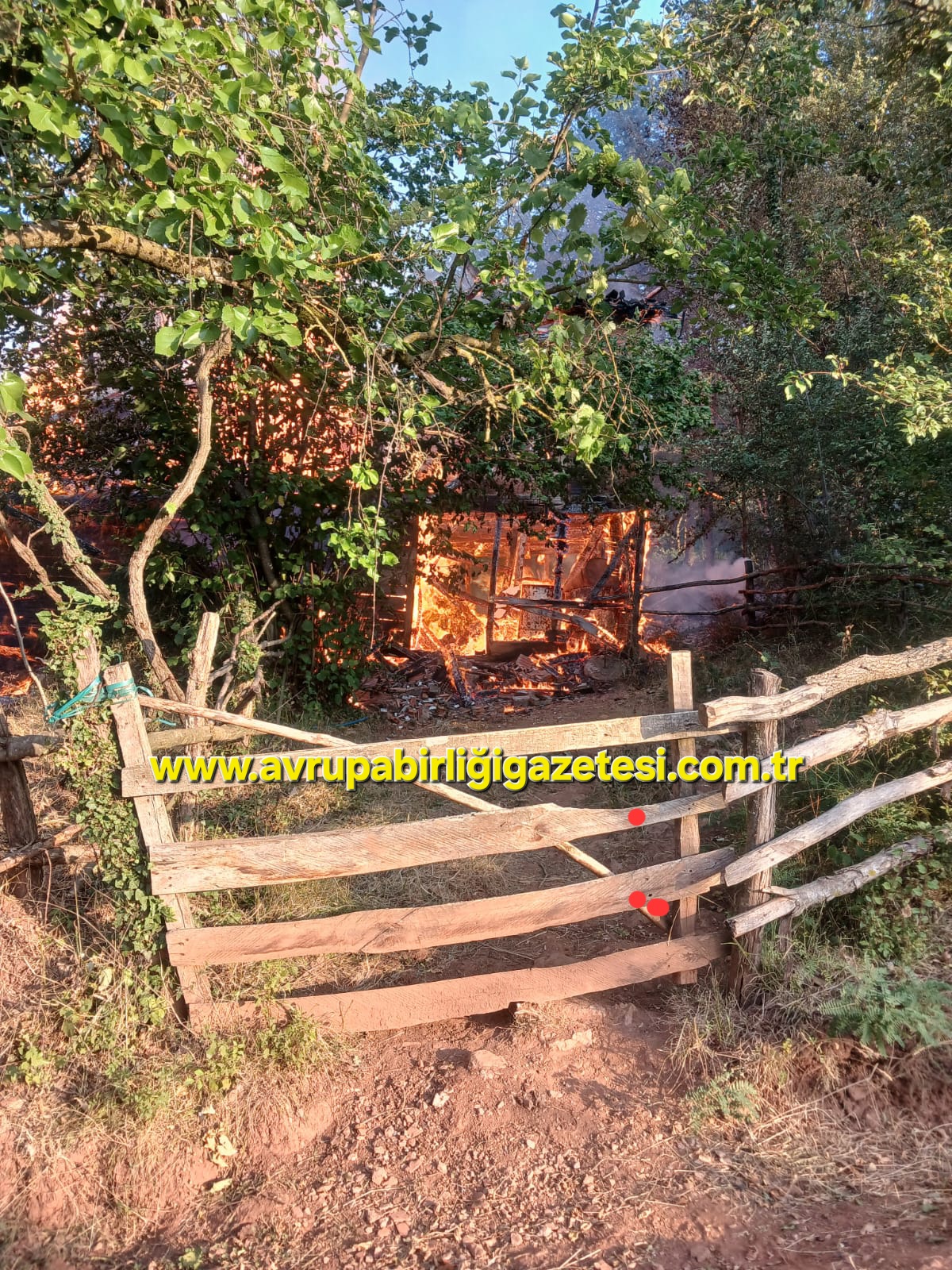 Cide Güren Başköy’de yangın!!! iki kardeş yaralandı