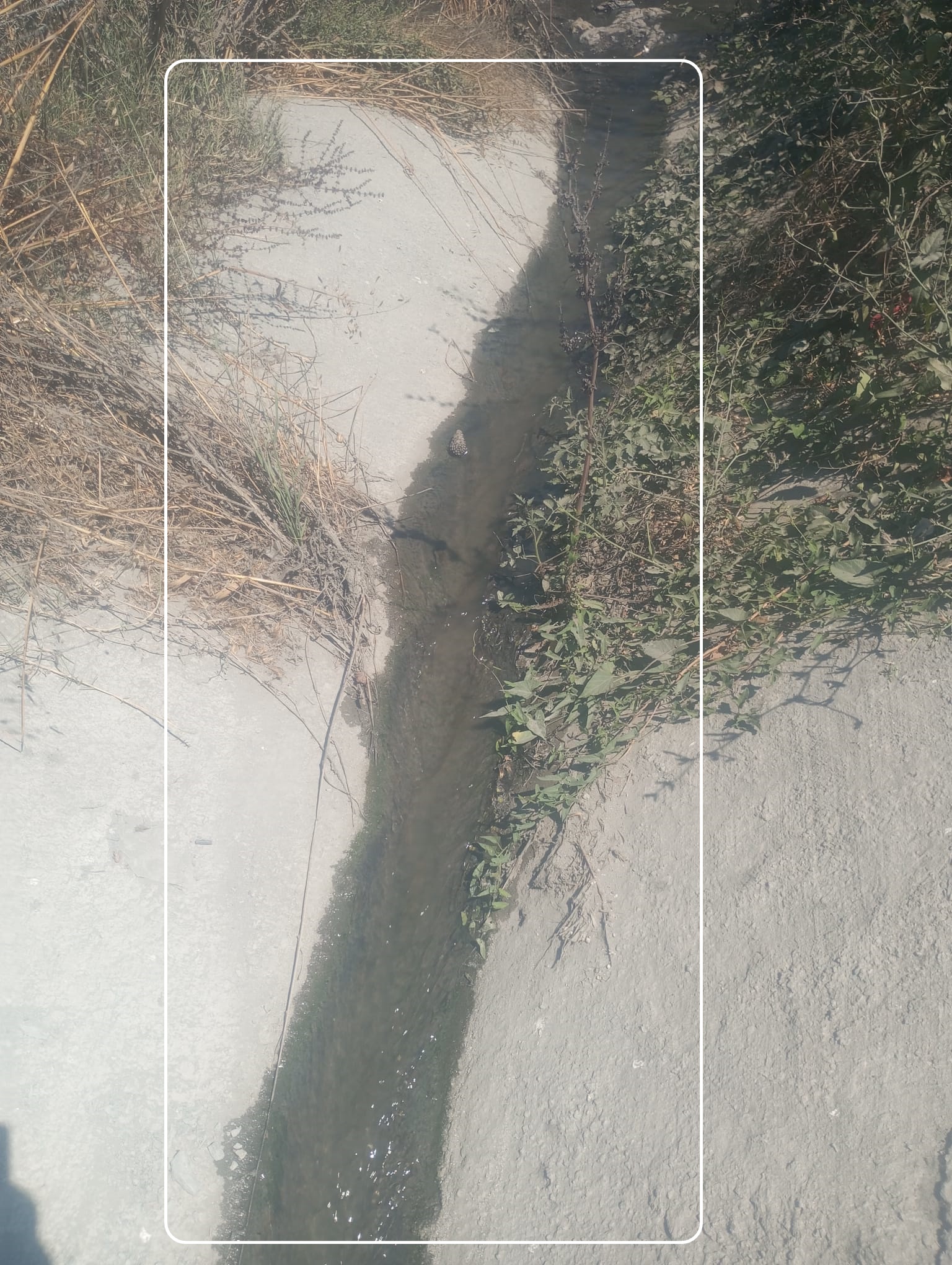 ADEN ‘ TESİSLERİNDEN AKIL ALMAZ ÇEVRE KİRLİLİĞİ ATIK SULAR YOLA AKIYOR