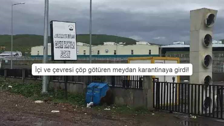 Buzağı ölümlerinin yaşandığı Ardahan’da yine ŞAP karantinası!