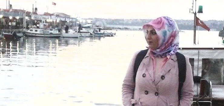 Türkiye’ye Eyalet sistemi gelir mi?