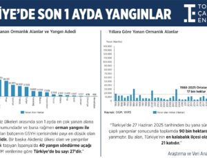 Türkiye’de son bir ayda 12 bin 752 futbol sahası büyüklüğünde alan küle döndü