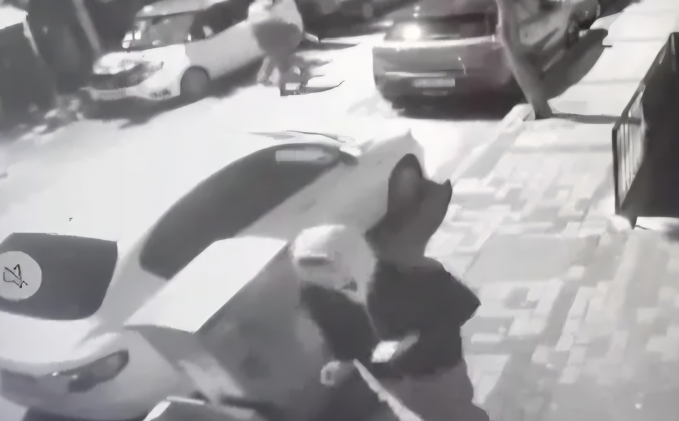 Karadeniz Mahallesi’nde Tartışma Kanlı Bitti: