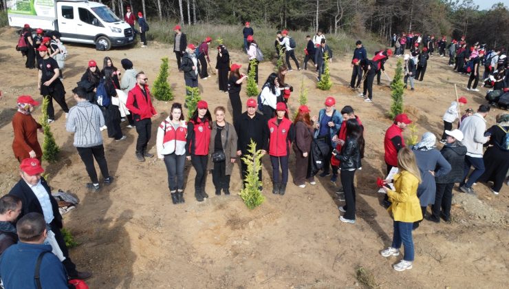 Sultangazi’de Ağaç Dikim Etkinliği