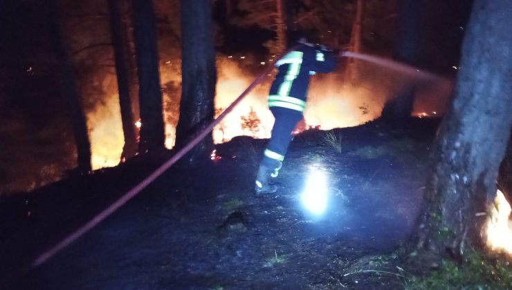 Cide’de Korkutan Yangın