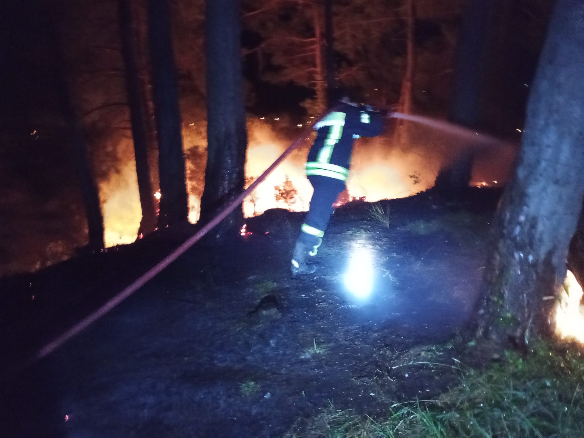 Cide’de Korkutan Yangın