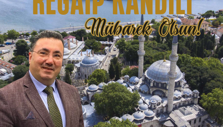 AYHAN SEKMEN AS-NUR MOBİLYA