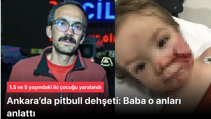 Ankara Pitbull Dehşeti: 1,5 ve 5 Yaşındaki Kardeşlere Saldırı, Sahibi Tutuklandı!