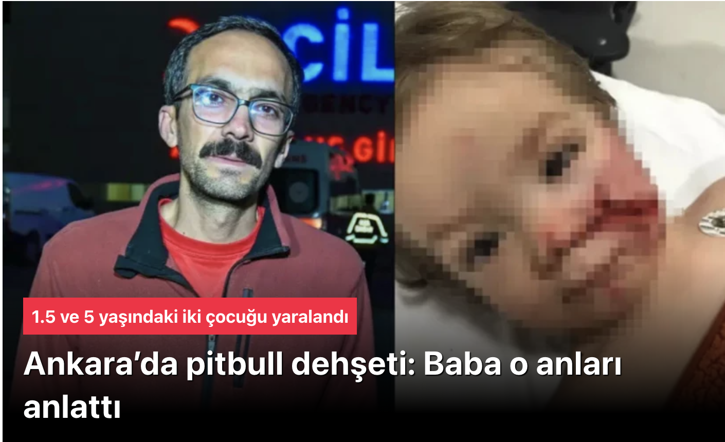Ankara Pitbull Dehşeti: 1,5 ve 5 Yaşındaki Kardeşlere Saldırı, Sahibi Tutuklandı!
