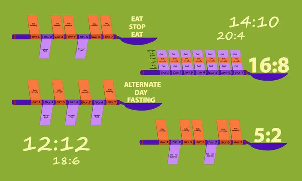 Intermittent fasting vektörler, vektör çizimler, vektörel grafik ...