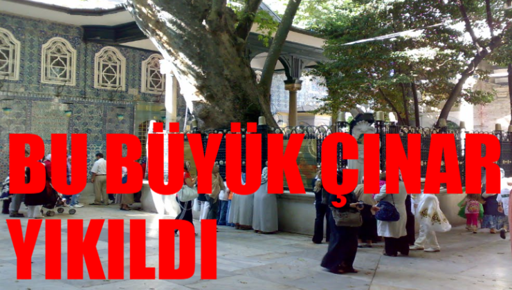Eyüpsultan Camii Avlusundaki Tarihi Çınar Ağacı Devrildi: 556 Yıllık Dev Miras Yere Yığıldı!