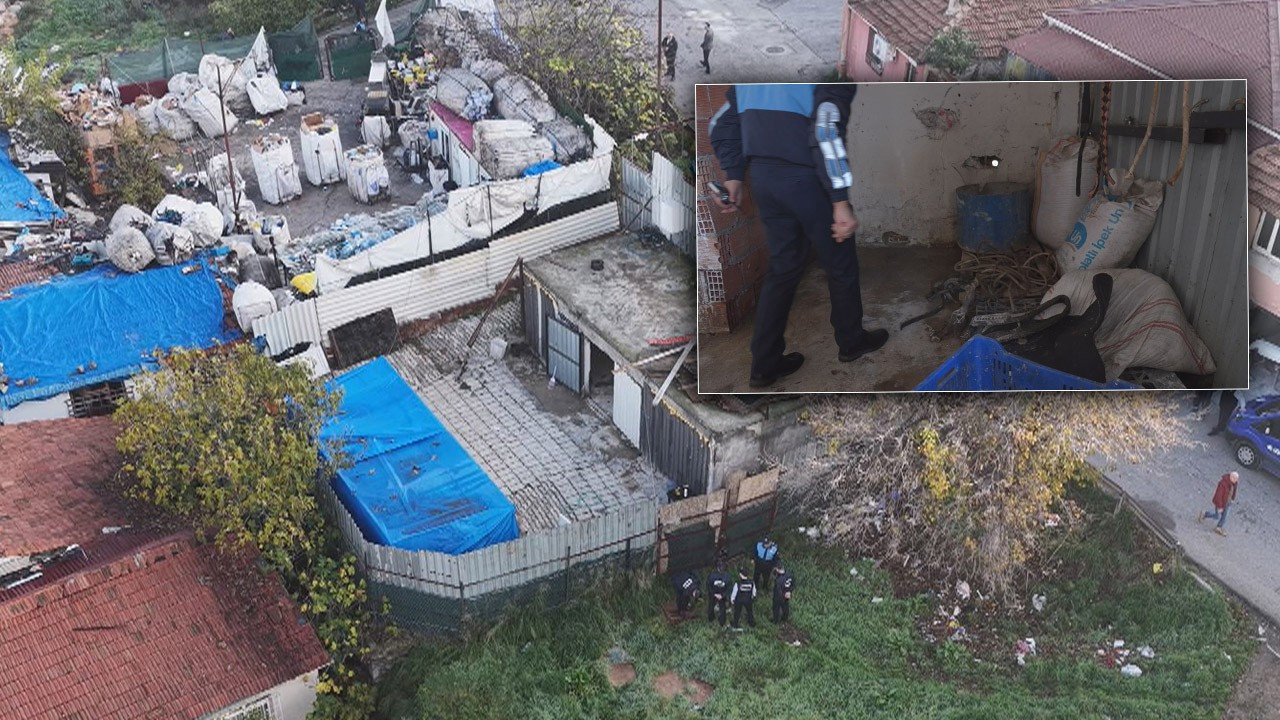 İstanbul Ataşehir’de Kaçak At Kesimi Skandalı: At Etleri Piyasaya Sürüldü, 2 Şüpheli Gözaltında!