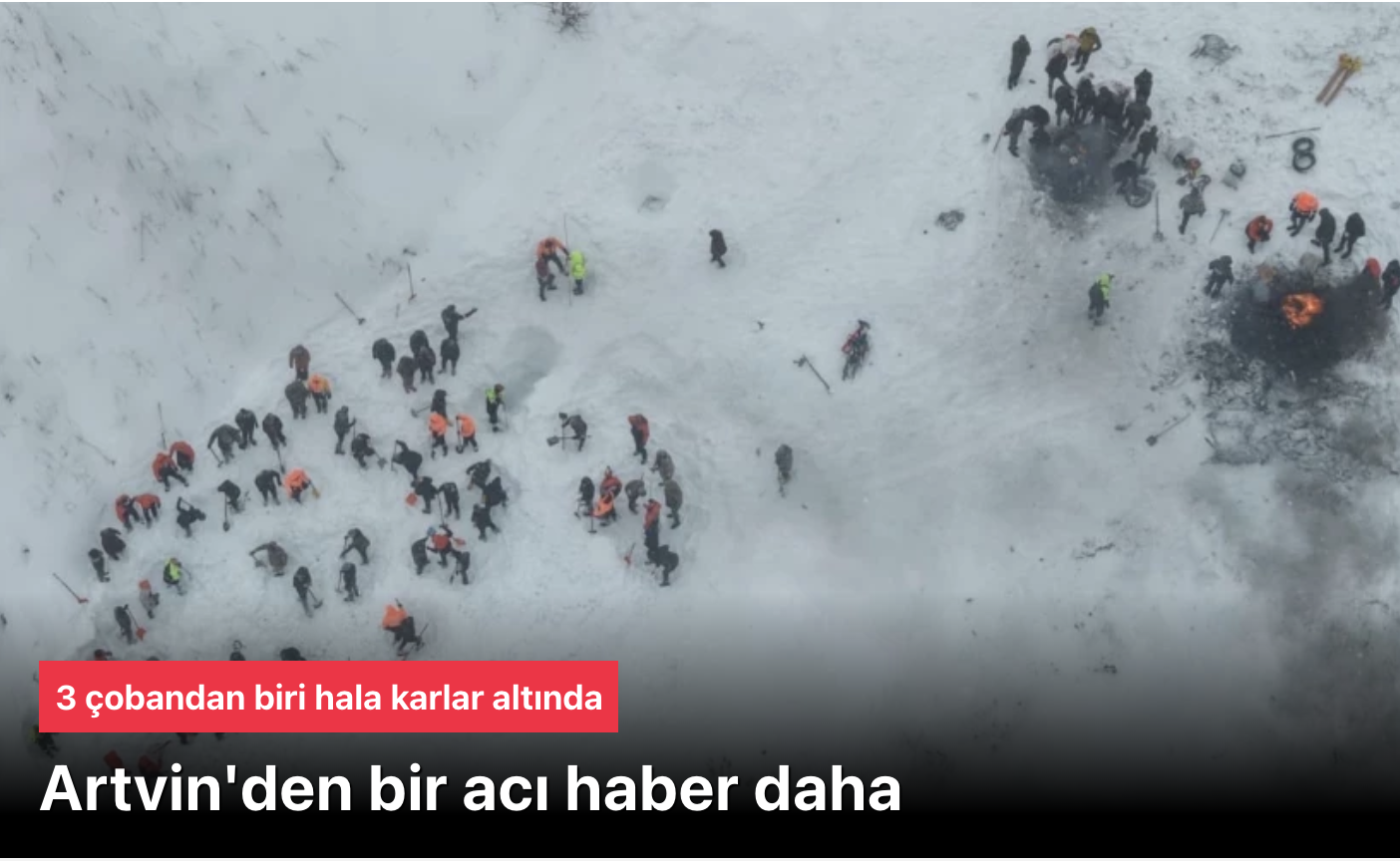 Artvin Çığ Felaketi: İki Çoban Hayatını Kaybetti, Bir Çoban Hala Kayıp