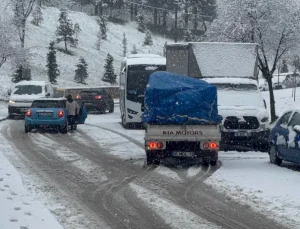Yeşil Bursa Beyaza Büründü: Yoğun Kar Yağışı Ulaşımı Felç Etti, Vatandaşlar Araçlarını Terk Etti!