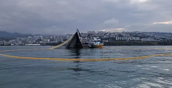 Balık Av Yasağı Bugün Başladı: 4,5 Ay Sürecek Yasak Dönemi Denizlerimizi Koruyacak