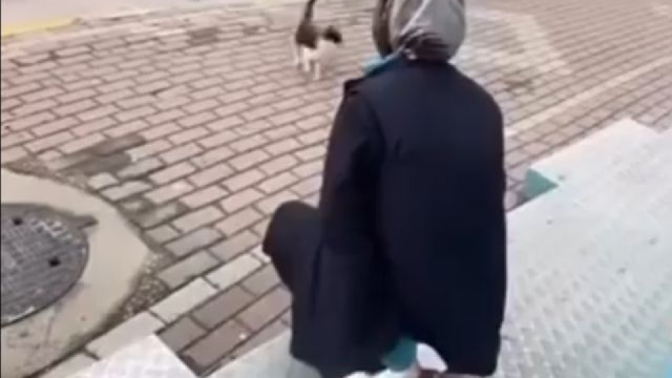 Kedinin Yüzüne Yağ Çözücü Sprey Sıkan Market Çalışanı Gözaltına Alındı!