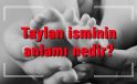 Taylan İsminin Anlamı, Kökeni ve Özellikleri