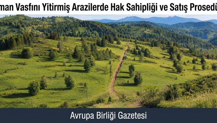 Orman Vasfını Yitirmiş Arazilerde Hak Sahipliği ve Satış Prosedürü