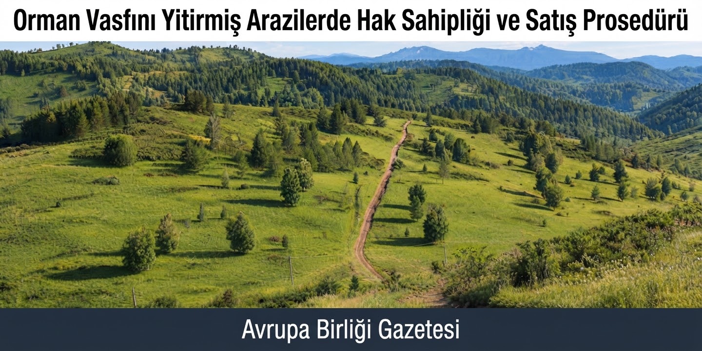 Orman Vasfını Yitirmiş Arazilerde Hak Sahipliği ve Satış Prosedürü