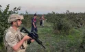 Kilosu 900 Bin TL’ye Yükselince Jandarma Tarla Nöbeti Tutuyor