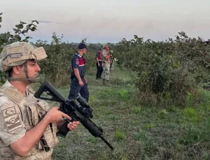 Kilosu 900 Bin TL’ye Yükselince Jandarma Tarla Nöbeti Tutuyor